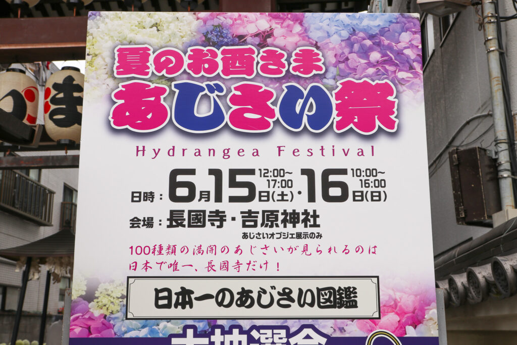 いきいきあじさい祭の開催を知らせる掲示。