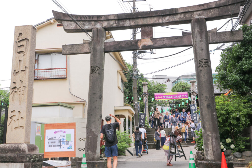 文京あじさいまつり