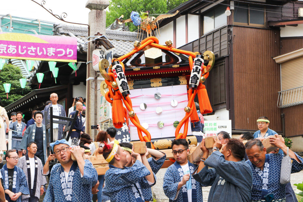 文京あじさいまつり