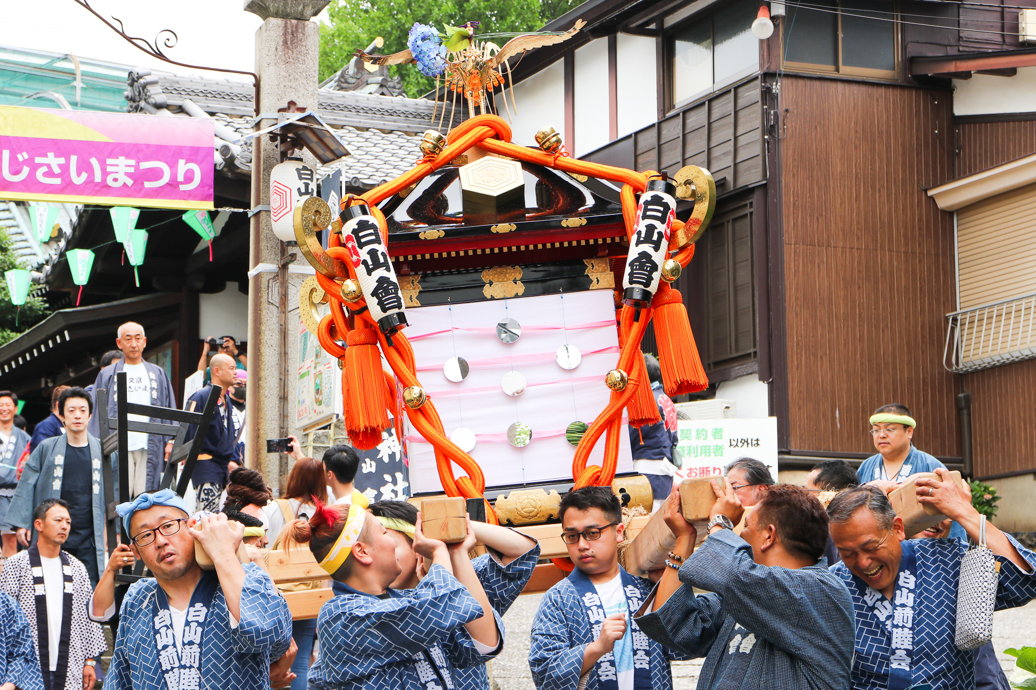 文京あじさいまつり