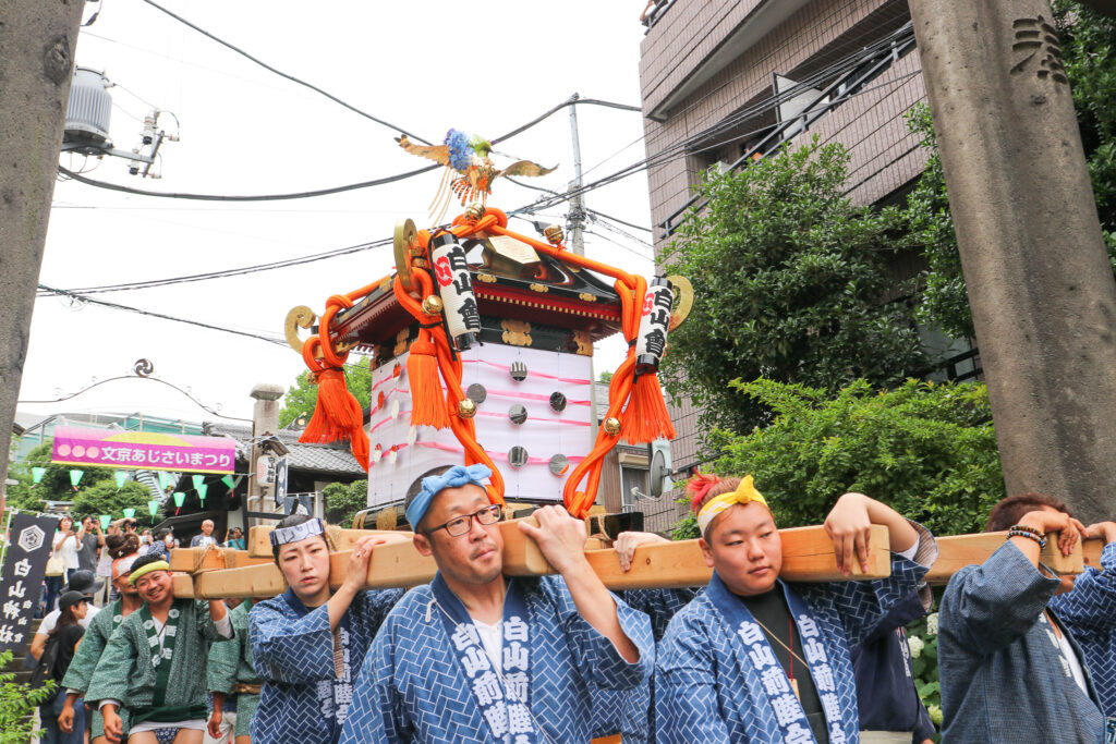 文京あじさいまつり