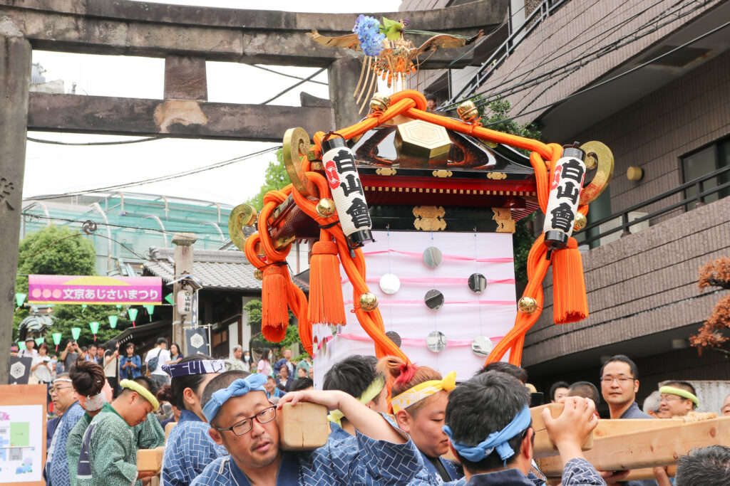 文京あじさいまつり