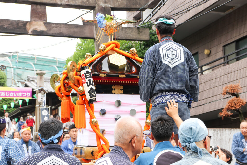 文京あじさいまつり