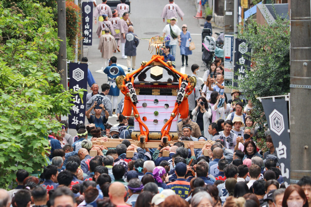 文京あじさいまつり