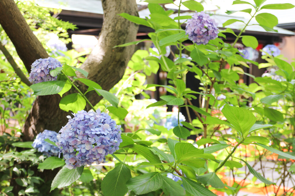 愛宕神社